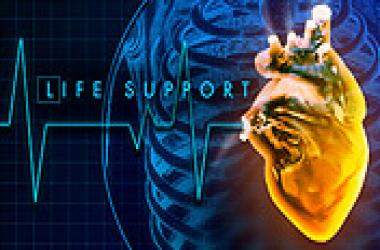 Novedades de Life Support: Los juegos que podr�an no salir 